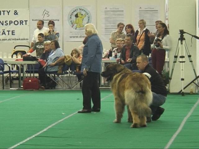 Salzburg Clubschau Mai 06 160 